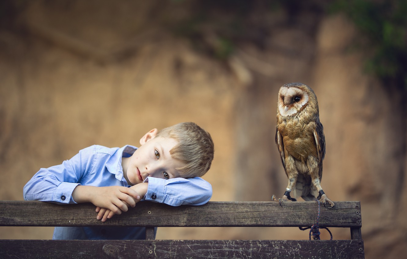 Photo Wallpaper Sadness, Look, Bench, Nature, Face, - Blur Pic Background Sad Boy - HD Wallpaper 