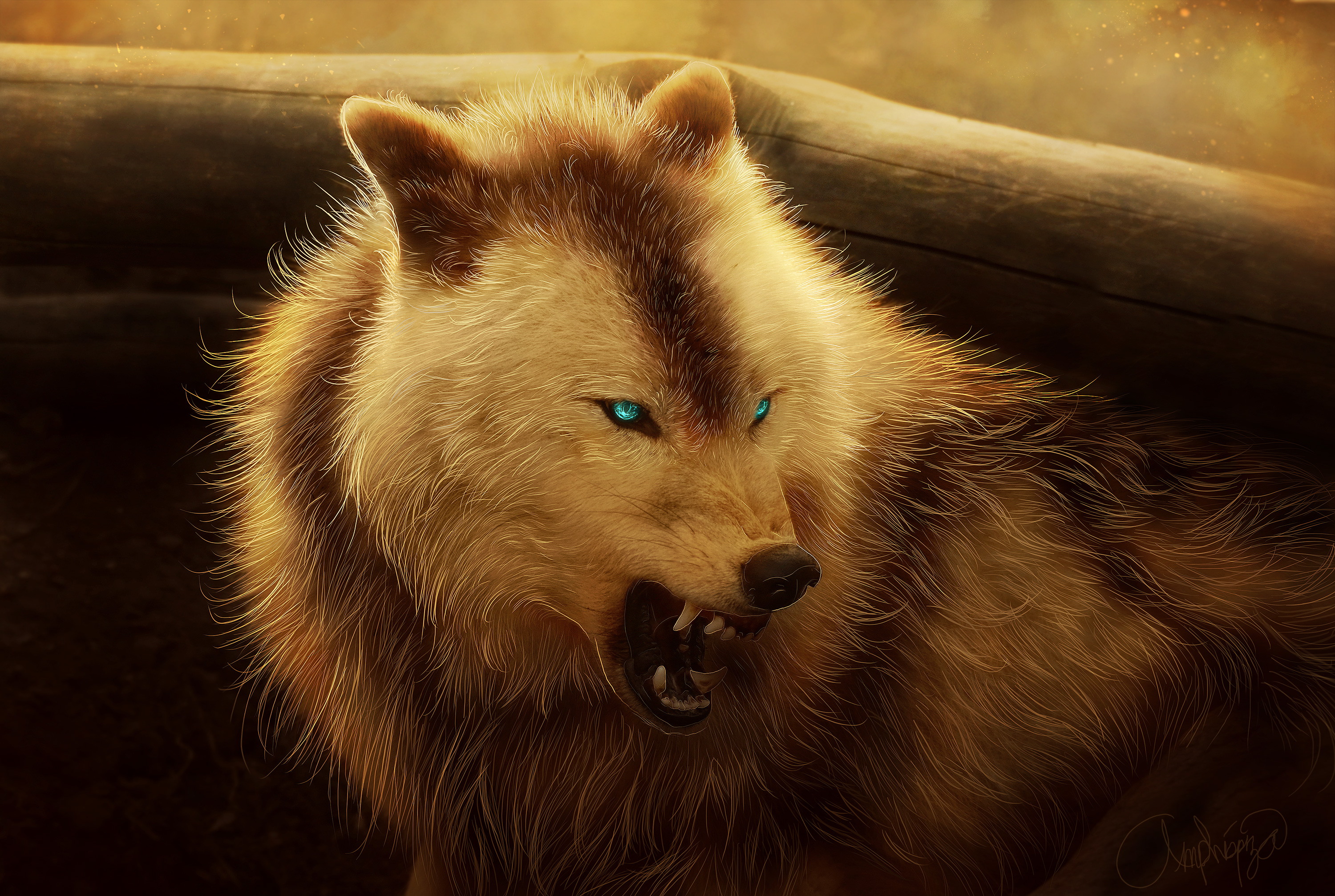 Angry Wolf - HD Wallpaper 