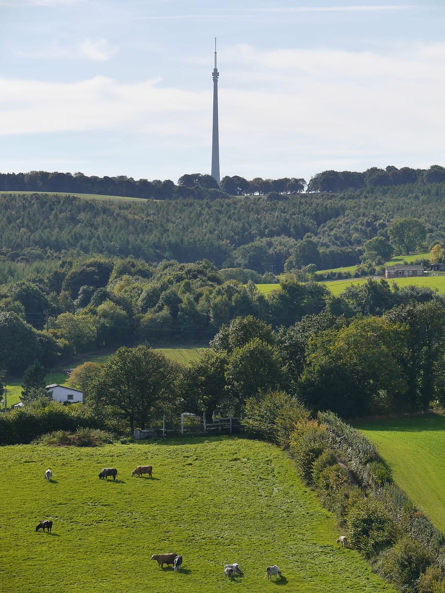 Emley Moor, Tv Mast, Yorkshire, Antennae, Blue, Cloud, - Emley Yorkshire - HD Wallpaper 