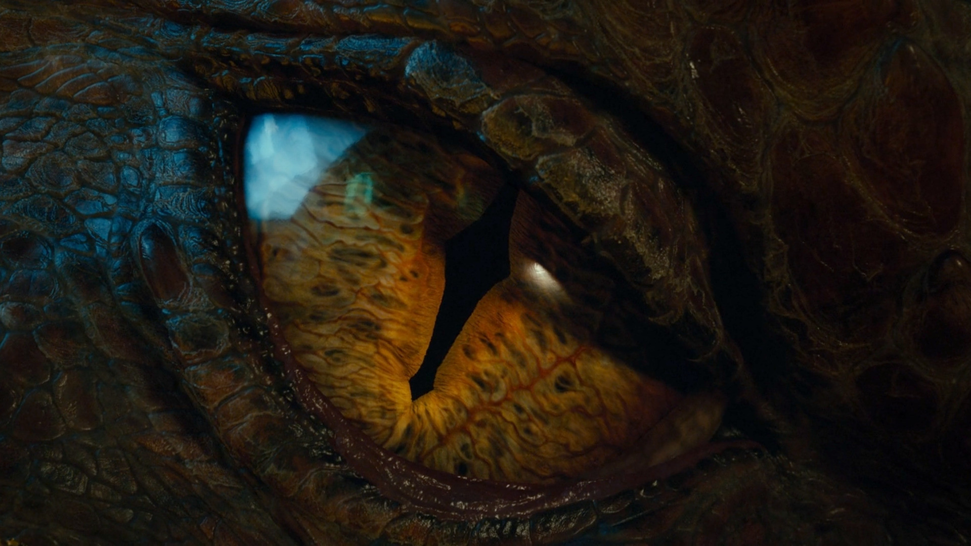 1920x1080, Smaug, The Hobbit, Dragon, Eyes Wallpapers - Dragon Eye Wallpaper Hd - HD Wallpaper 