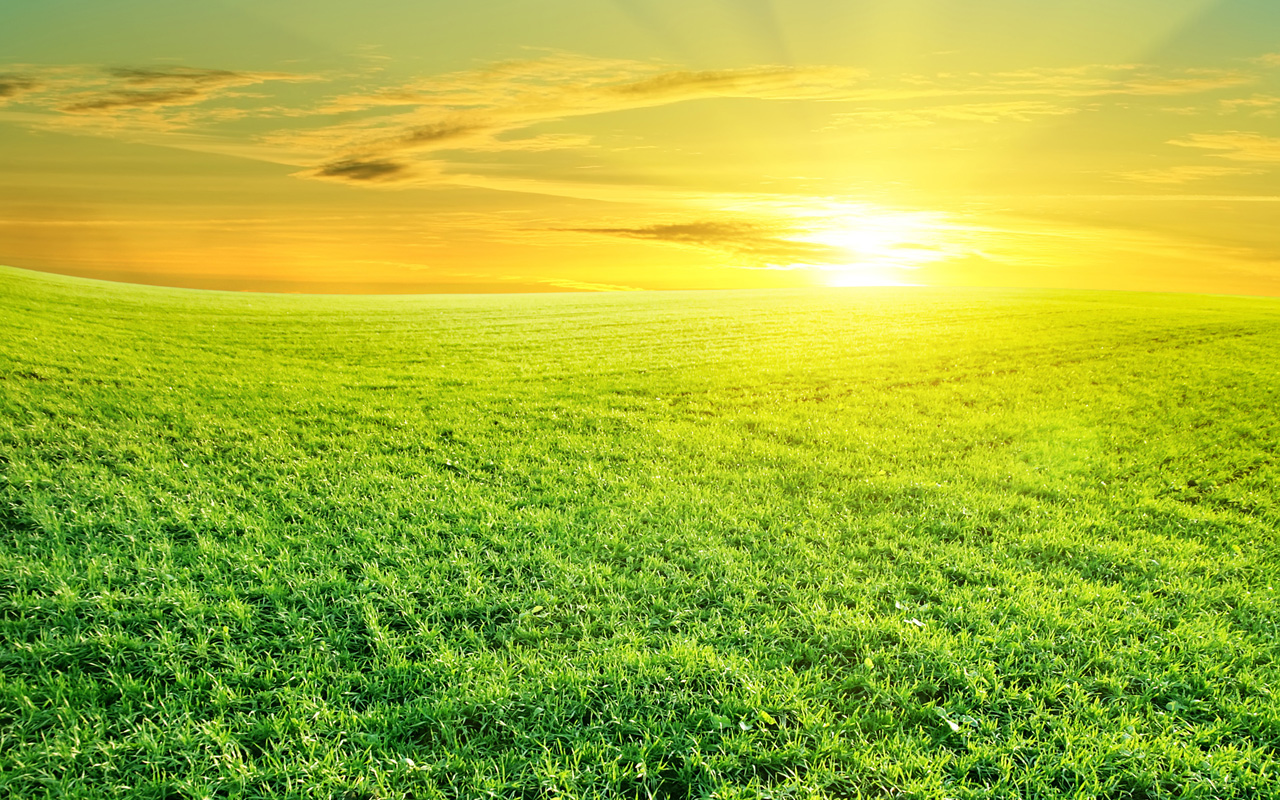 Most Wallpaper 28 - HD Wallpaper 