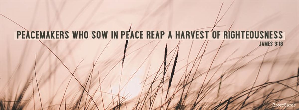 James 3 - - Grass - HD Wallpaper 