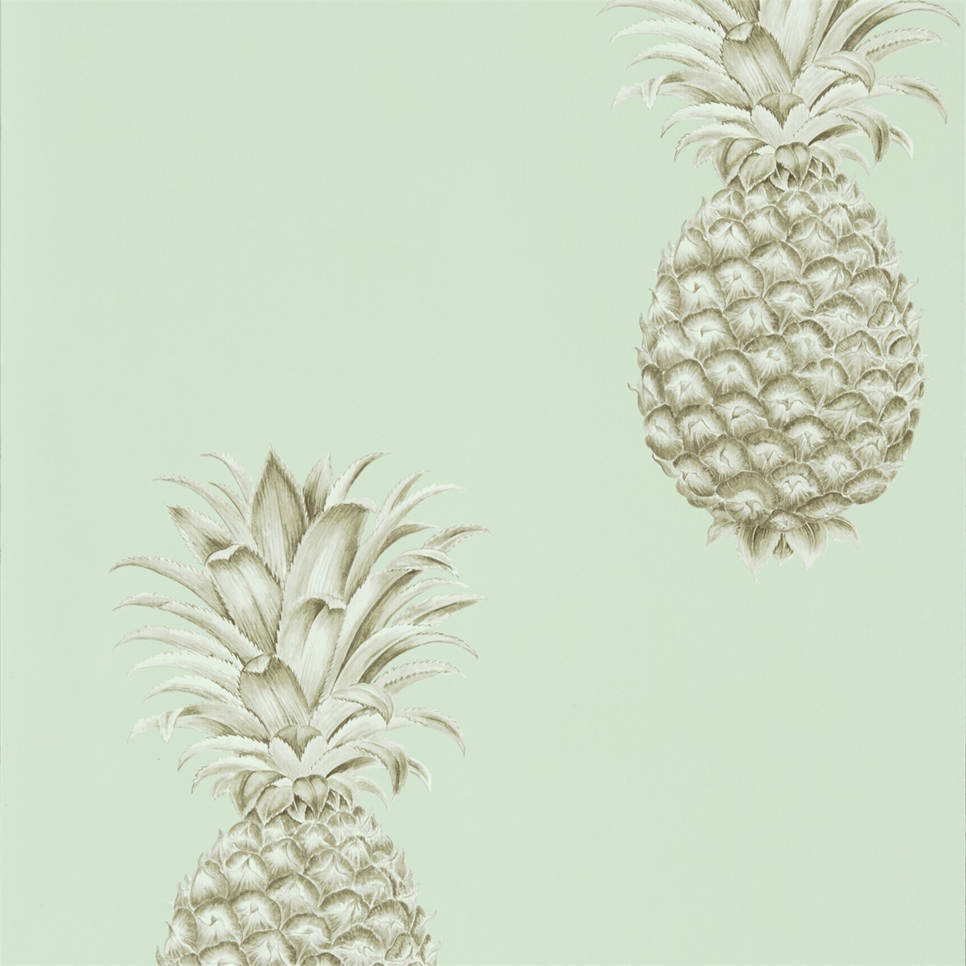 Sanderson Pineapple Royale - HD Wallpaper 
