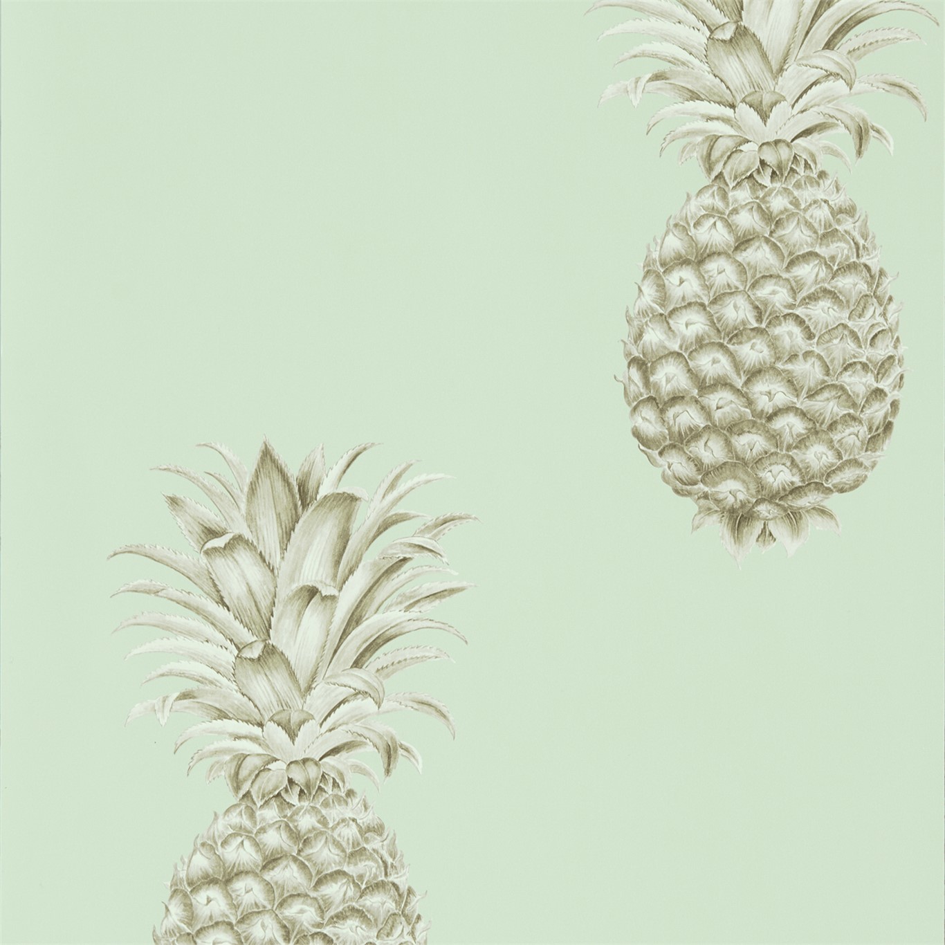Sanderson Pineapple Royale - HD Wallpaper 