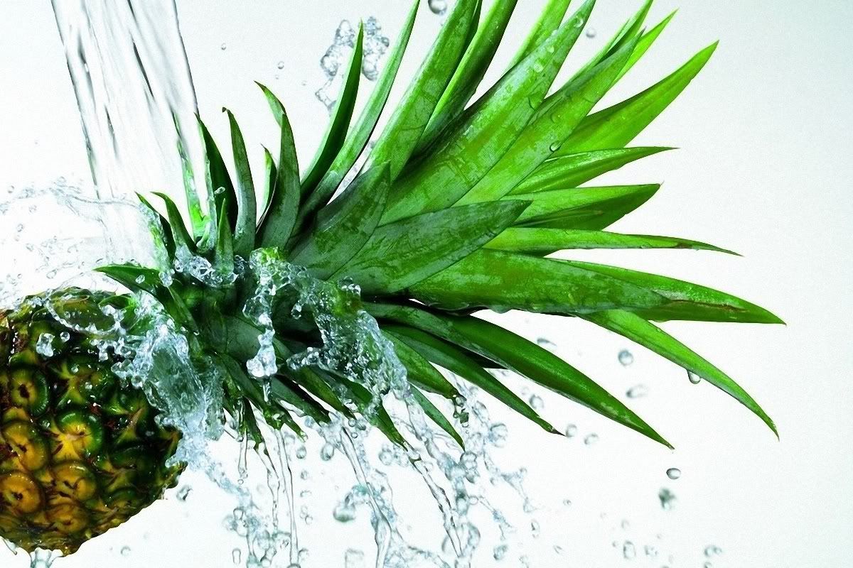 Pineapple Wallpaper Hd - Pineapple Hd - HD Wallpaper 