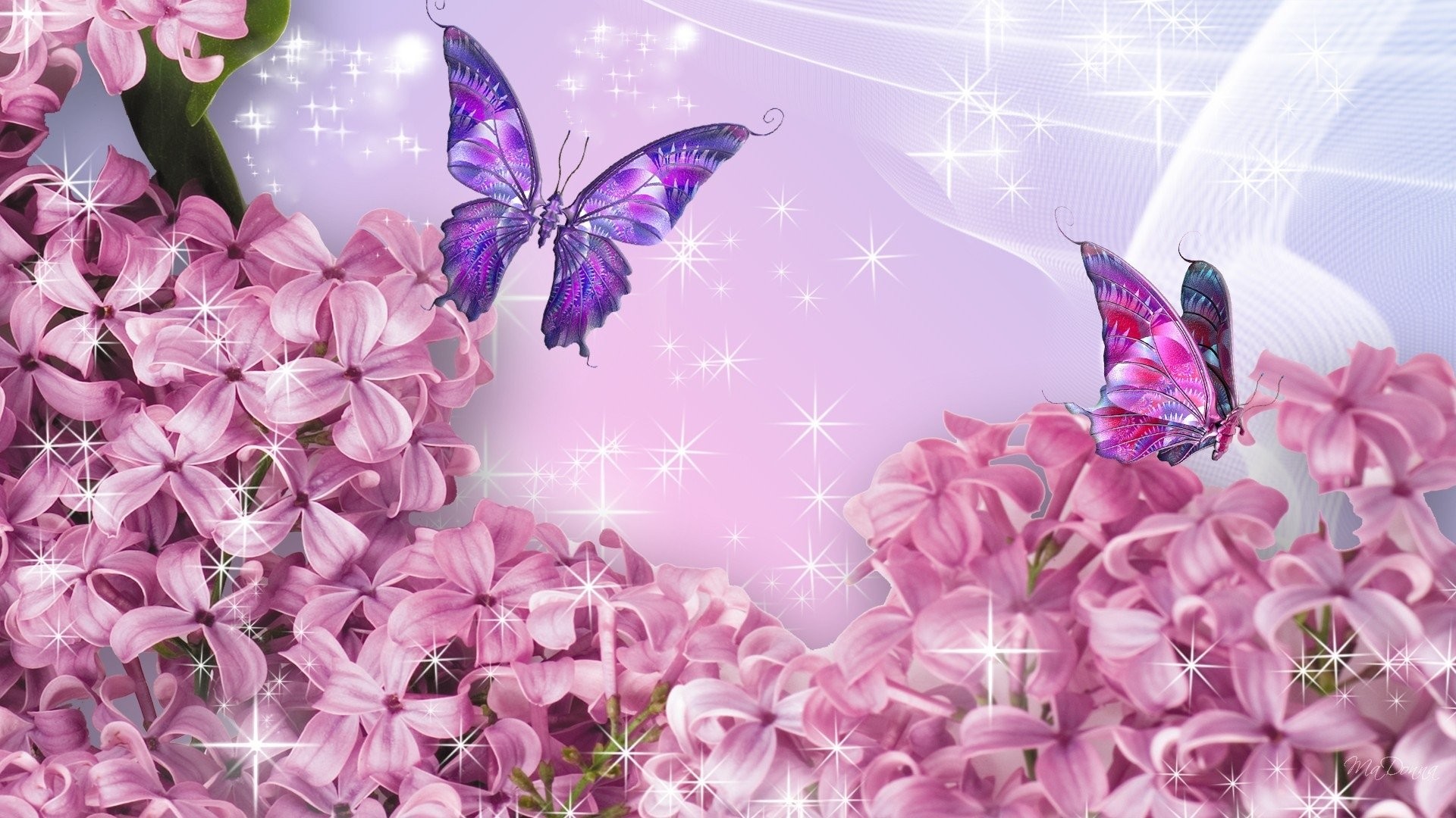 Cover Photos For Fb Flowers Data Src Popular Fb Wallpaper Fb Dp 19x1080 Wallpaper Teahub Io Cover Photos For Fb Flowers Data Src Popular Fb Wallpaper Fb Dp 19x1080 Wallpaper Teahub Io