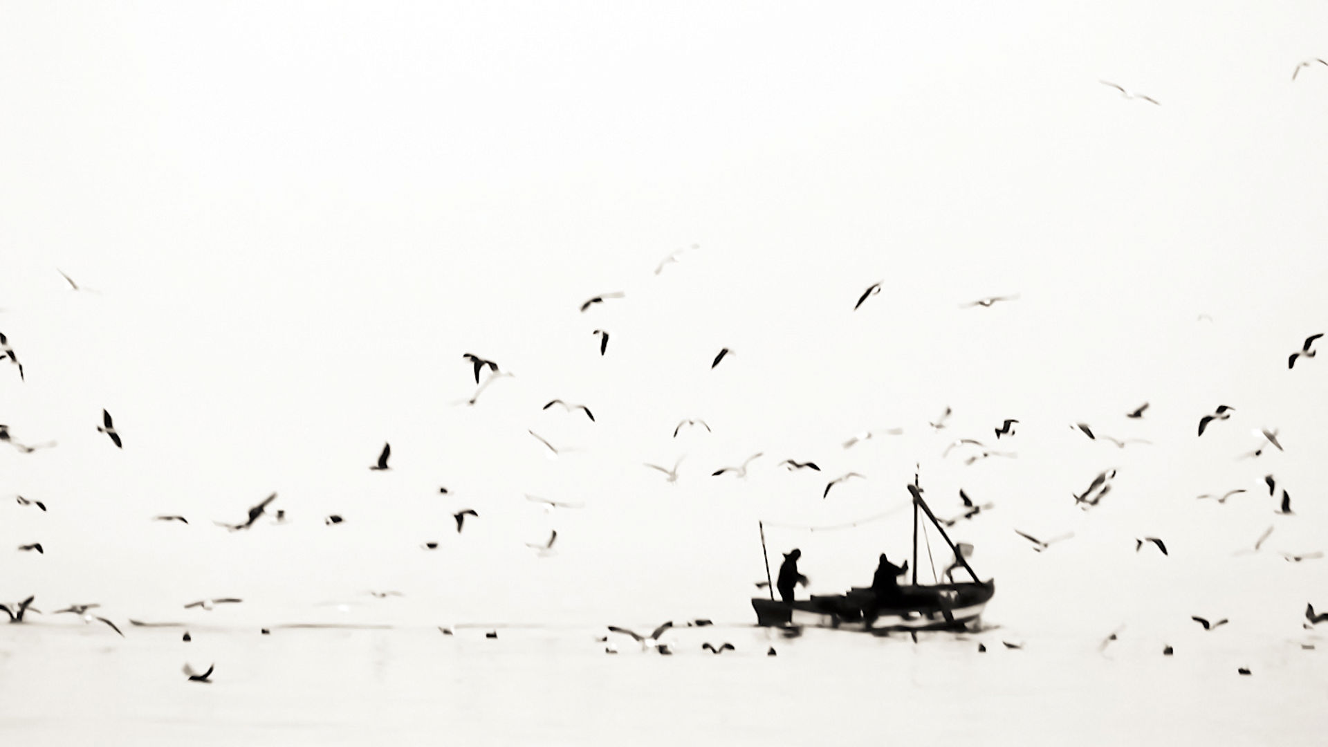 Hd Wallpapers White Screen 19x1080 Wallpaper Teahub Io Hd Wallpapers White Screen 19x1080 Wallpaper Teahub Io