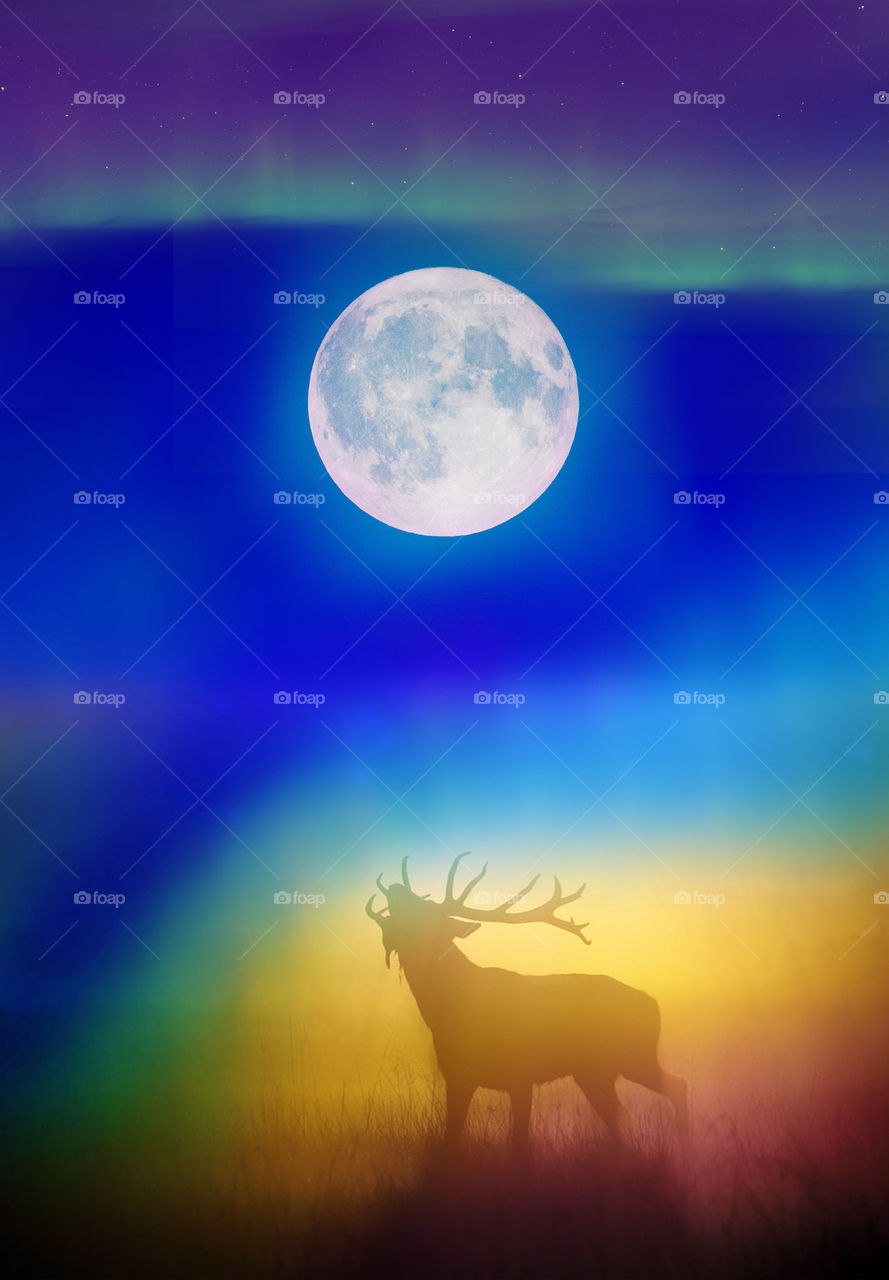Moonlight - HD Wallpaper 