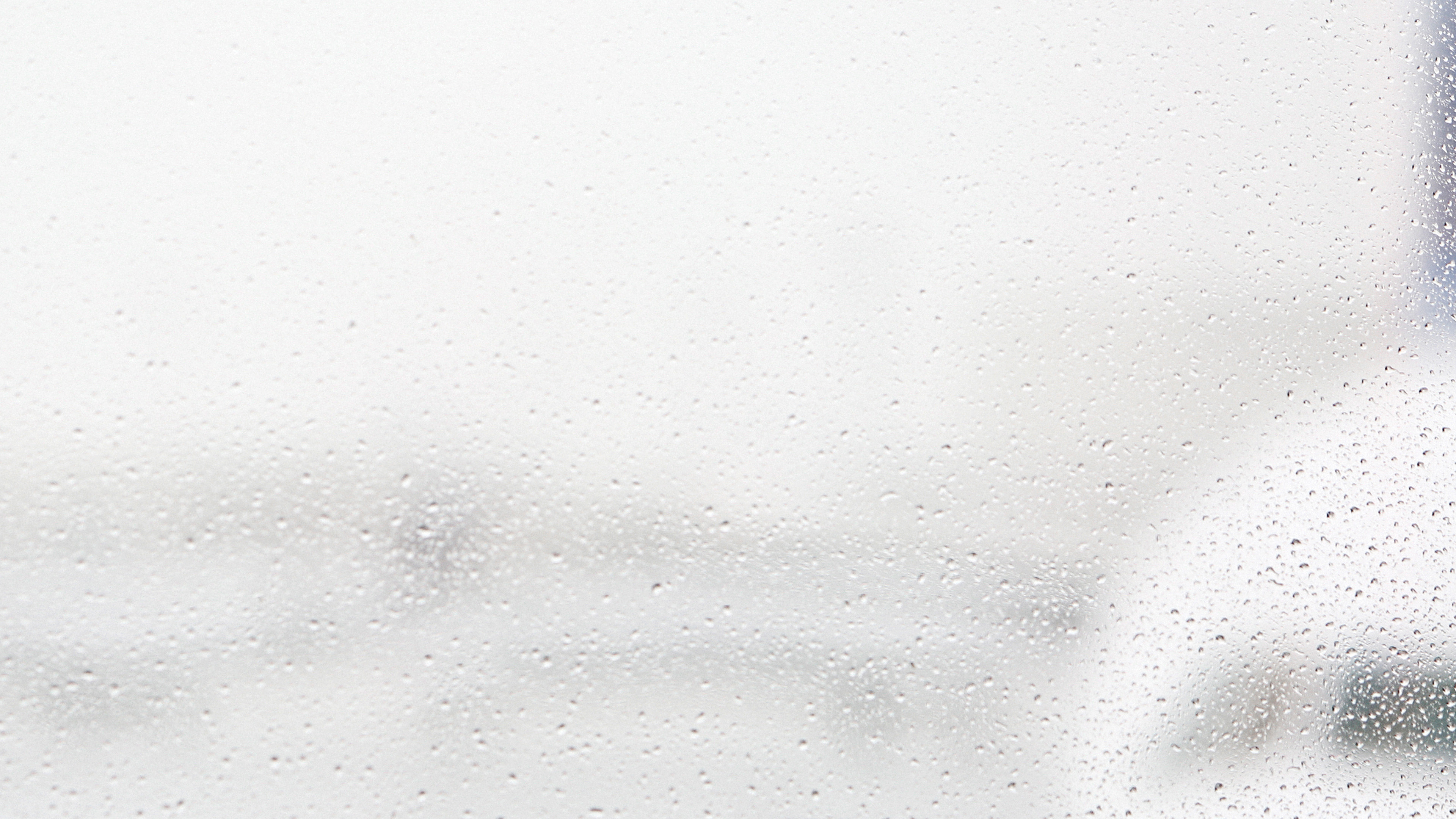 Free White Background Hd - HD Wallpaper 