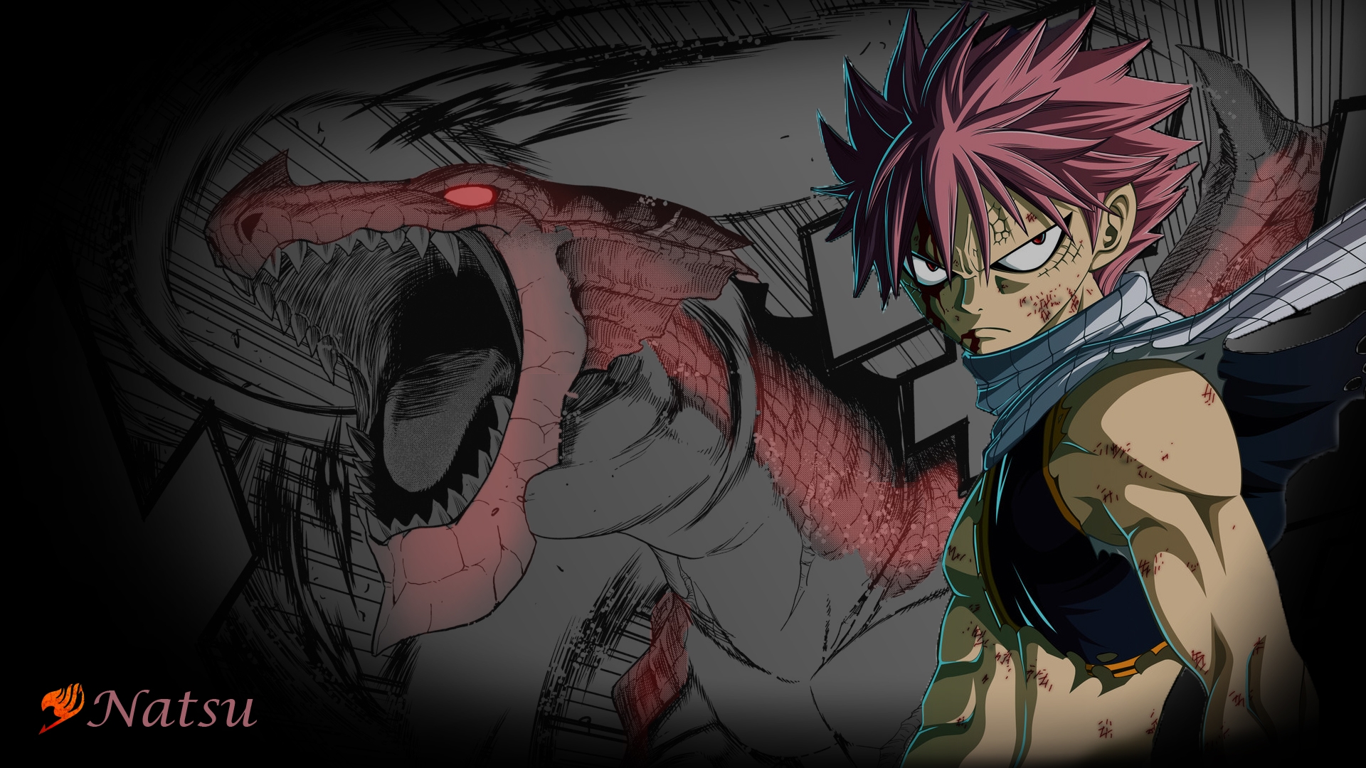Fairy Tail Wallpapers - Fairy Tail - HD Wallpaper 
