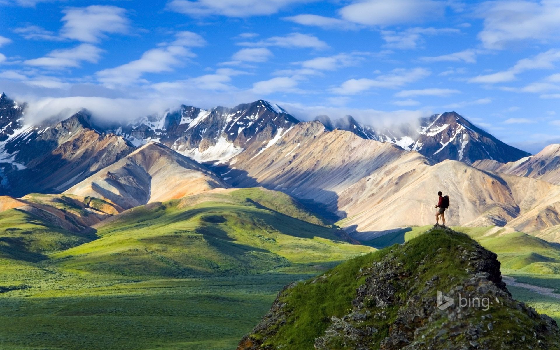 Denali National Park Wallpapers - Denali National Park Wallpaper Hd - HD Wallpaper 