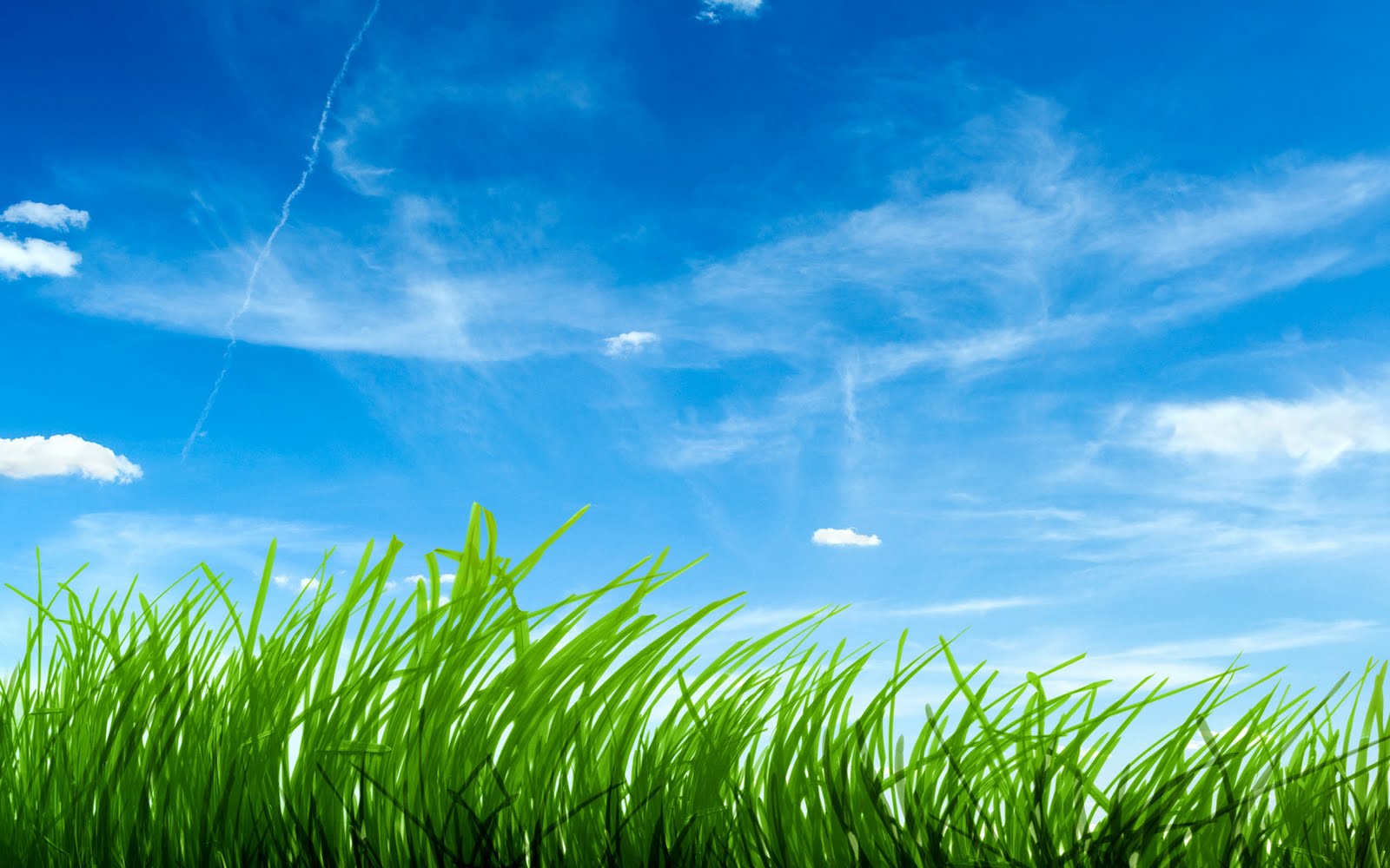 Nature Wallpaper Hd Hd Wallpapers 3d - Green Grass Hd - 1600x1000 Wallpaper Nature Wallpaper Hd Hd Wallpapers 3d - Green Grass Hd - 1600x1000 Wallpaper