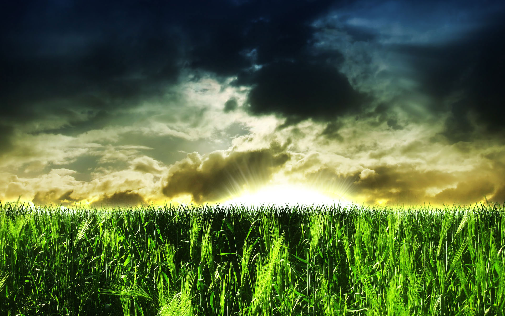 Free Beautiful Hd 3d Nature Wallpaper For Computer - Best Wallpaper Hd - 1920x1200 Wallpaper Free Beautiful Hd 3d Nature Wallpaper For Computer - Best Wallpaper Hd - 1920x1200 Wallpaper