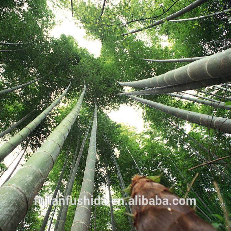 Building Materials Computer Nature Wallpaper Hd 3d - Naturaleza 3d Hd - HD Wallpaper 