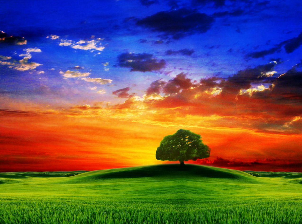 Nature Wallpaper - Nature Colorful Background Hd - HD Wallpaper 