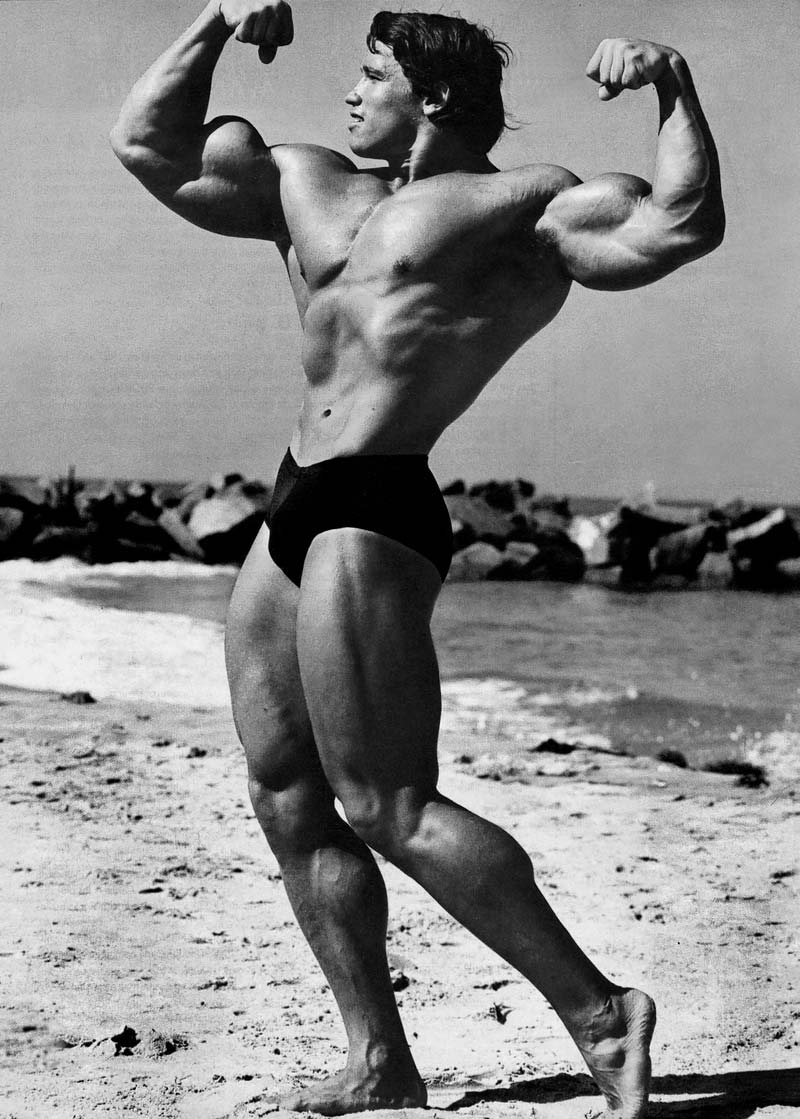 Arnold Schwarzenegger Posing Poster - HD Wallpaper 