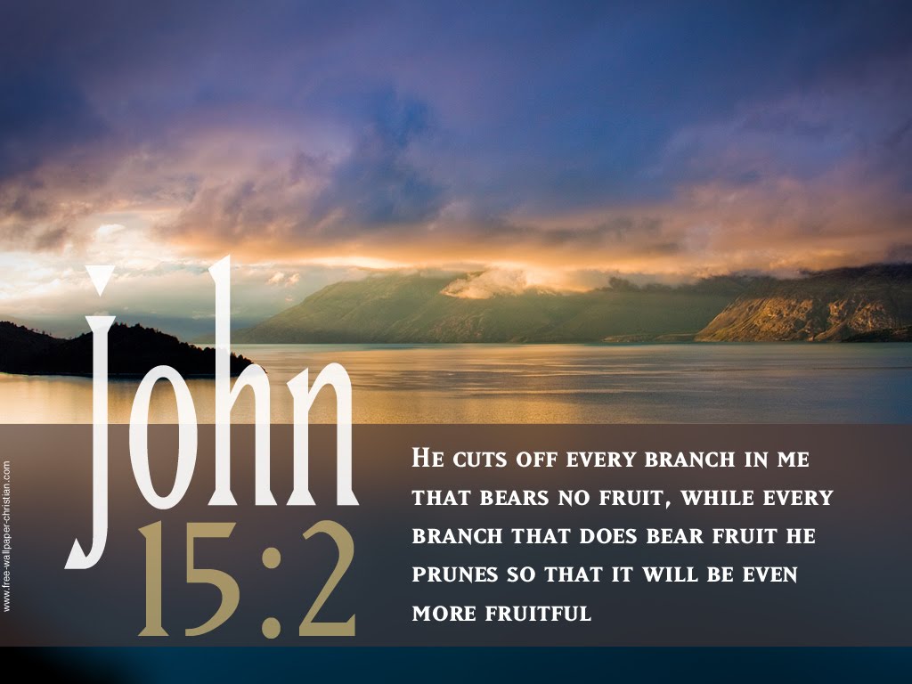 Bible Verse Wallpaper - HD Wallpaper 