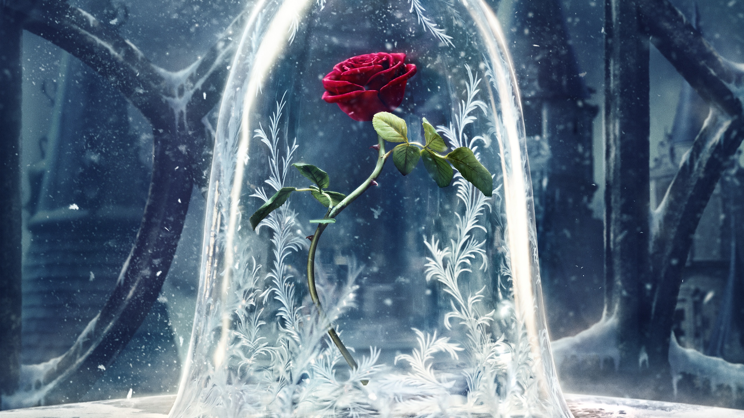 Beauty And The Beast Backgrounds - HD Wallpaper 