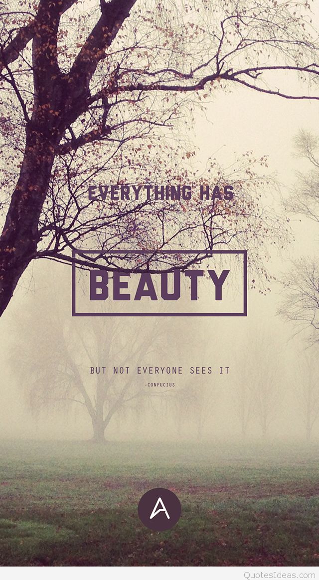 Beauty Iphone Wallpaper Quote Hd - Quotes In Photoshop - HD Wallpaper 