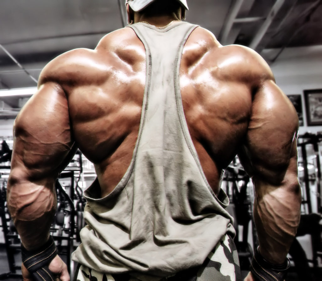 Roelly Winklaar - HD Wallpaper 
