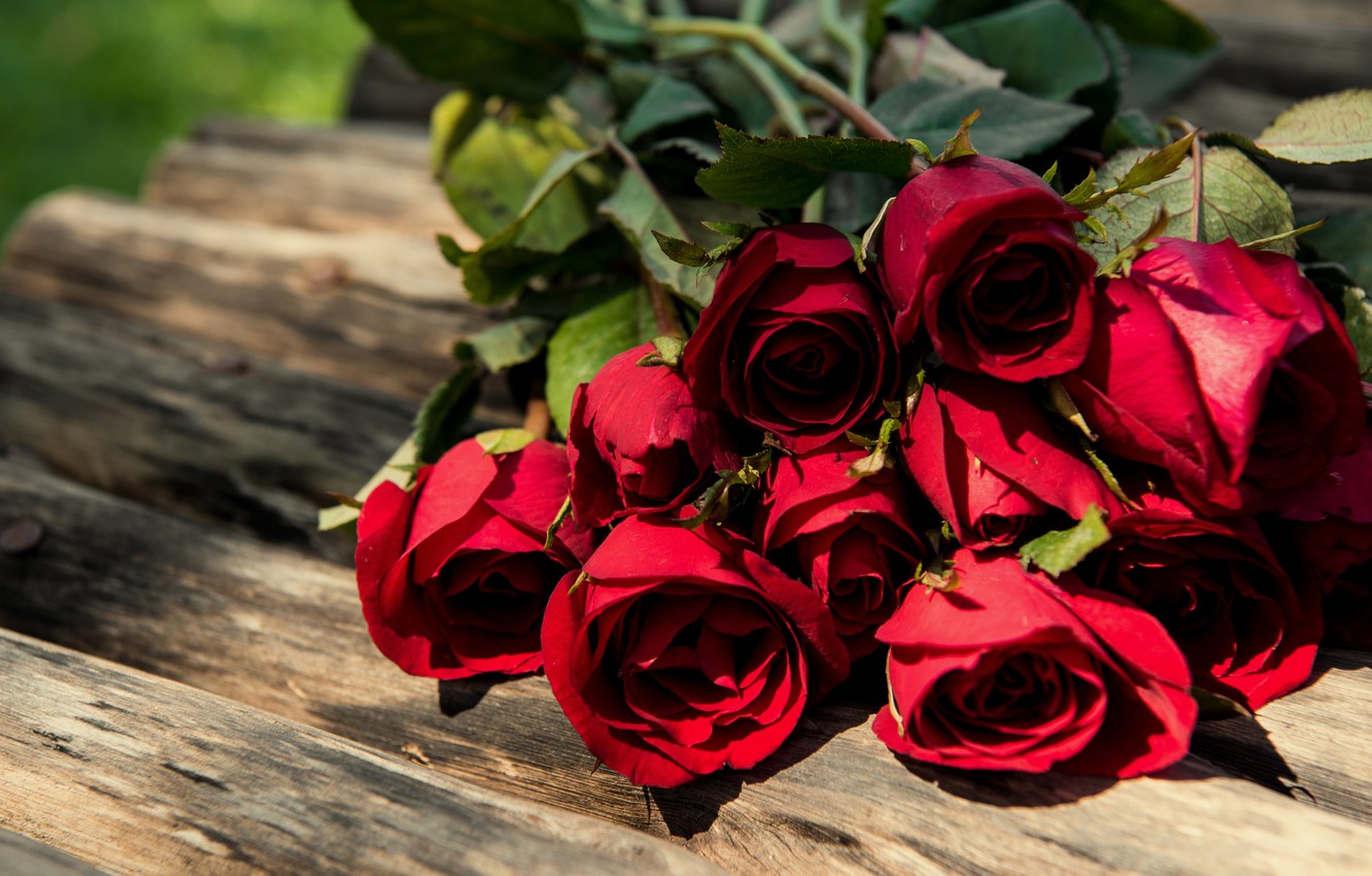 Photo Wallpaper Bouquet, Red, Wood, Romantic, Roses, - Garden Roses - HD Wallpaper 