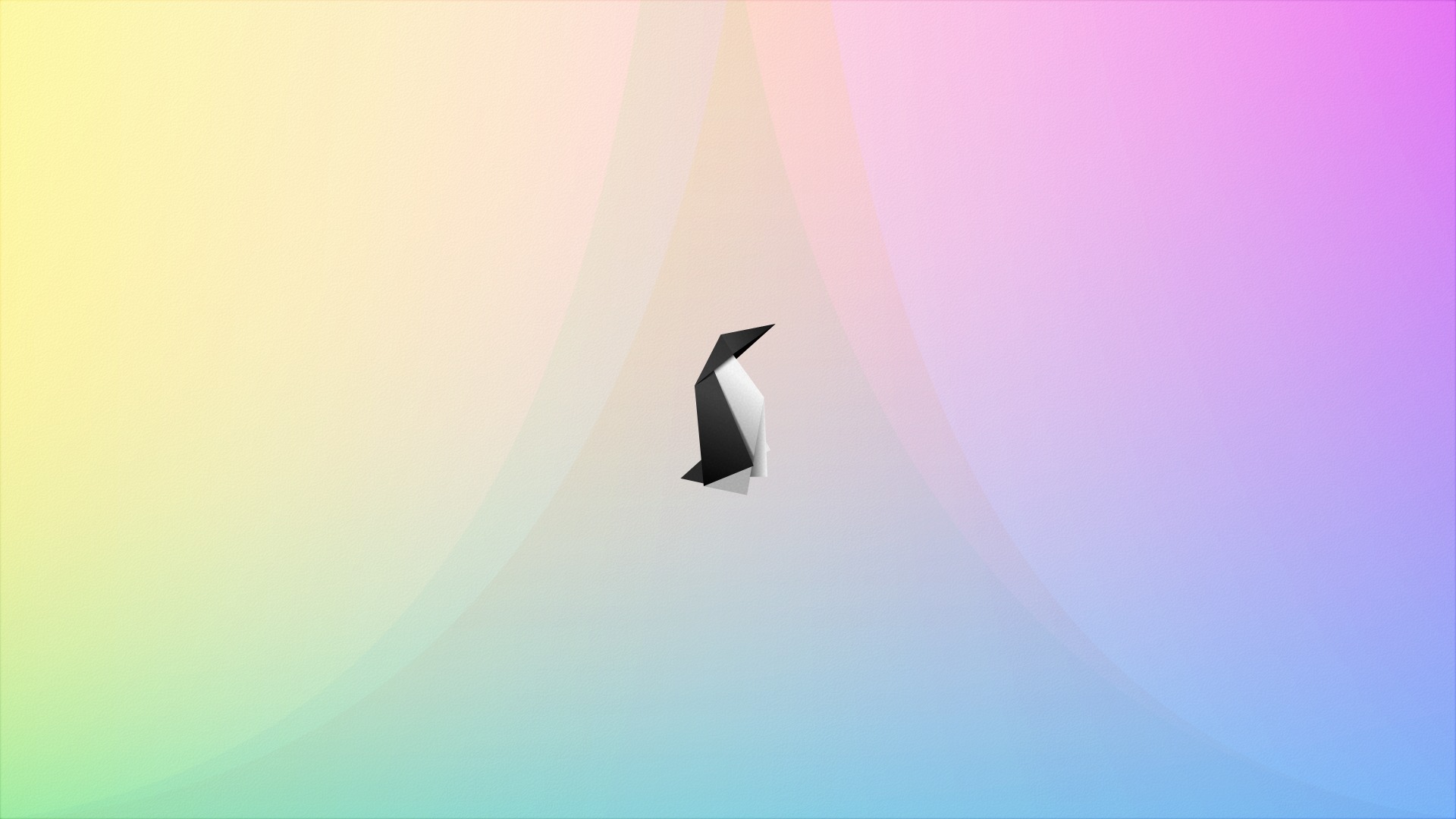 Seabird - HD Wallpaper 