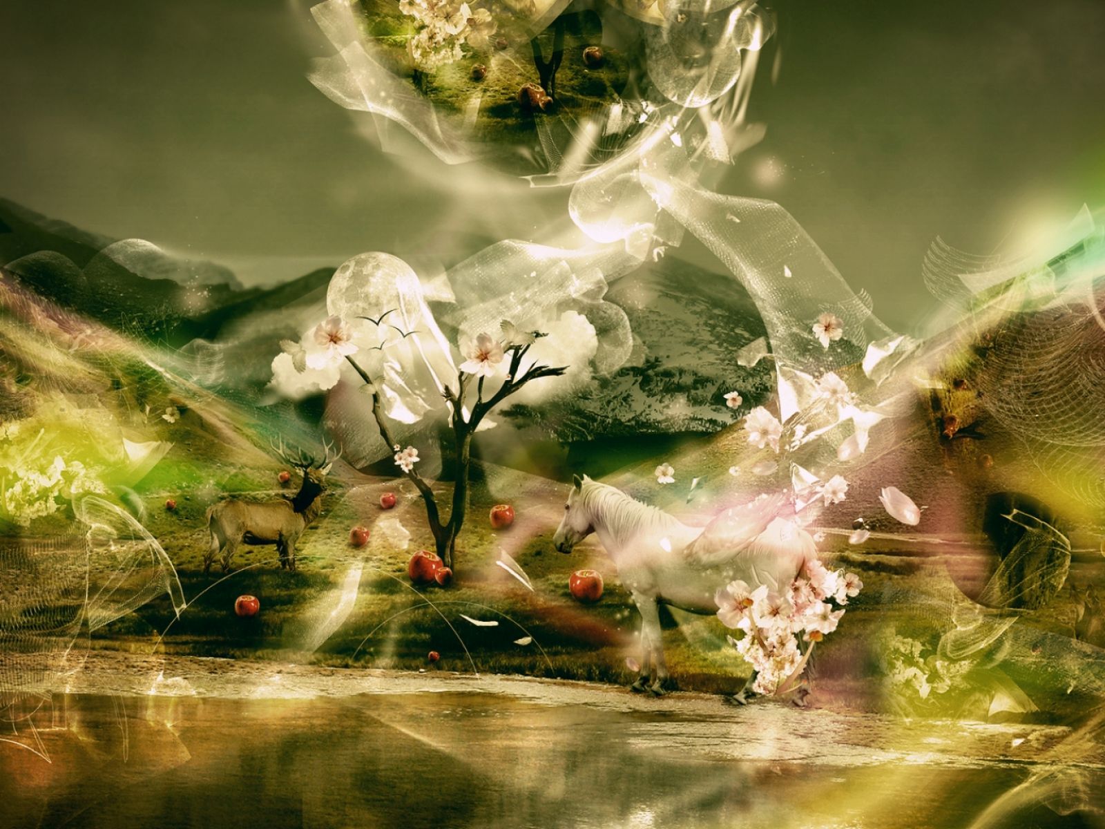 3d Wallpaper 6 Wallpaper - Best Wallpapers Hd In World - 1600x1200