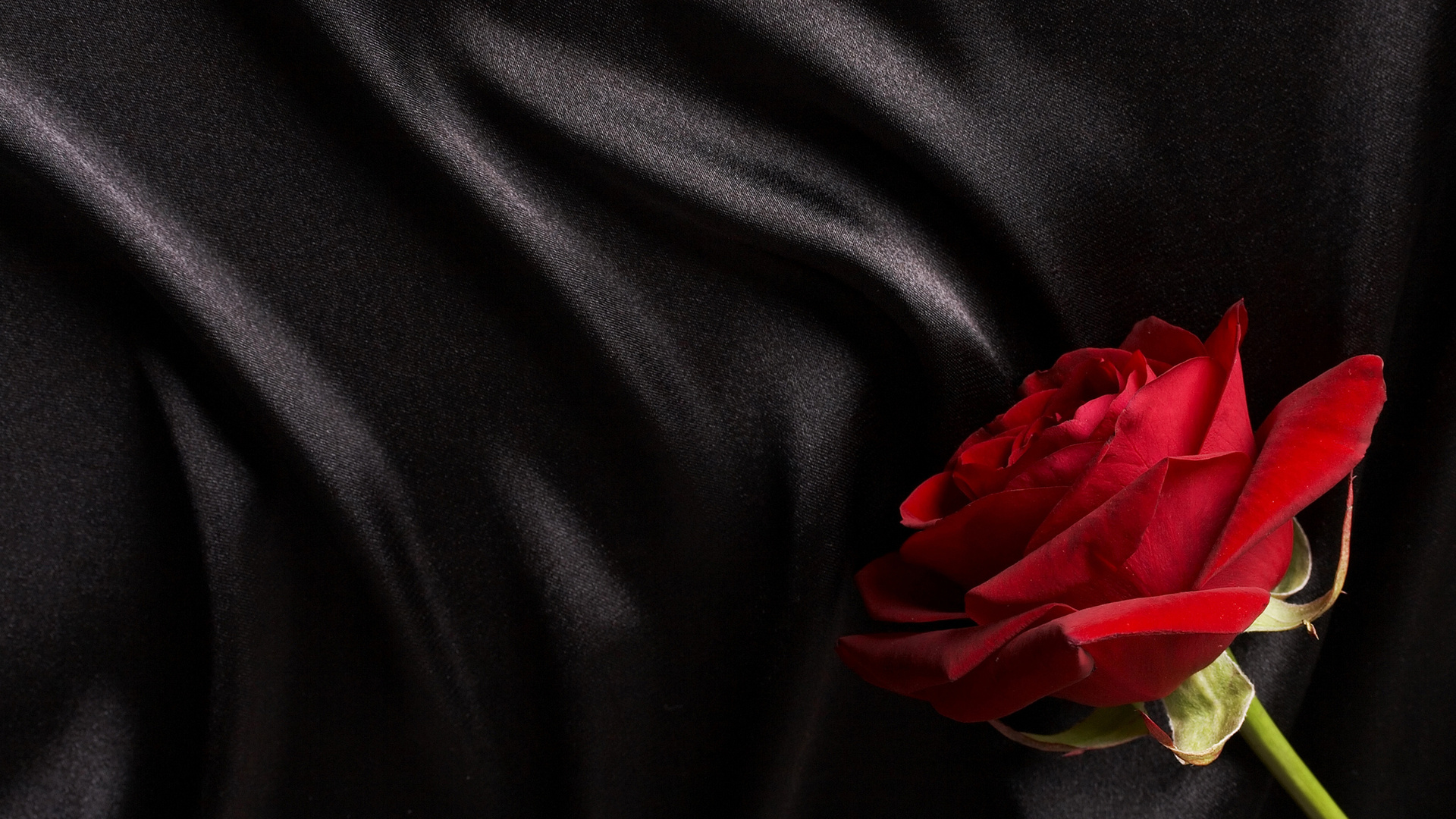 Black And Red Rose Wallpaper Download Black Silk Wallpaper - Black And Red Satin - HD Wallpaper 