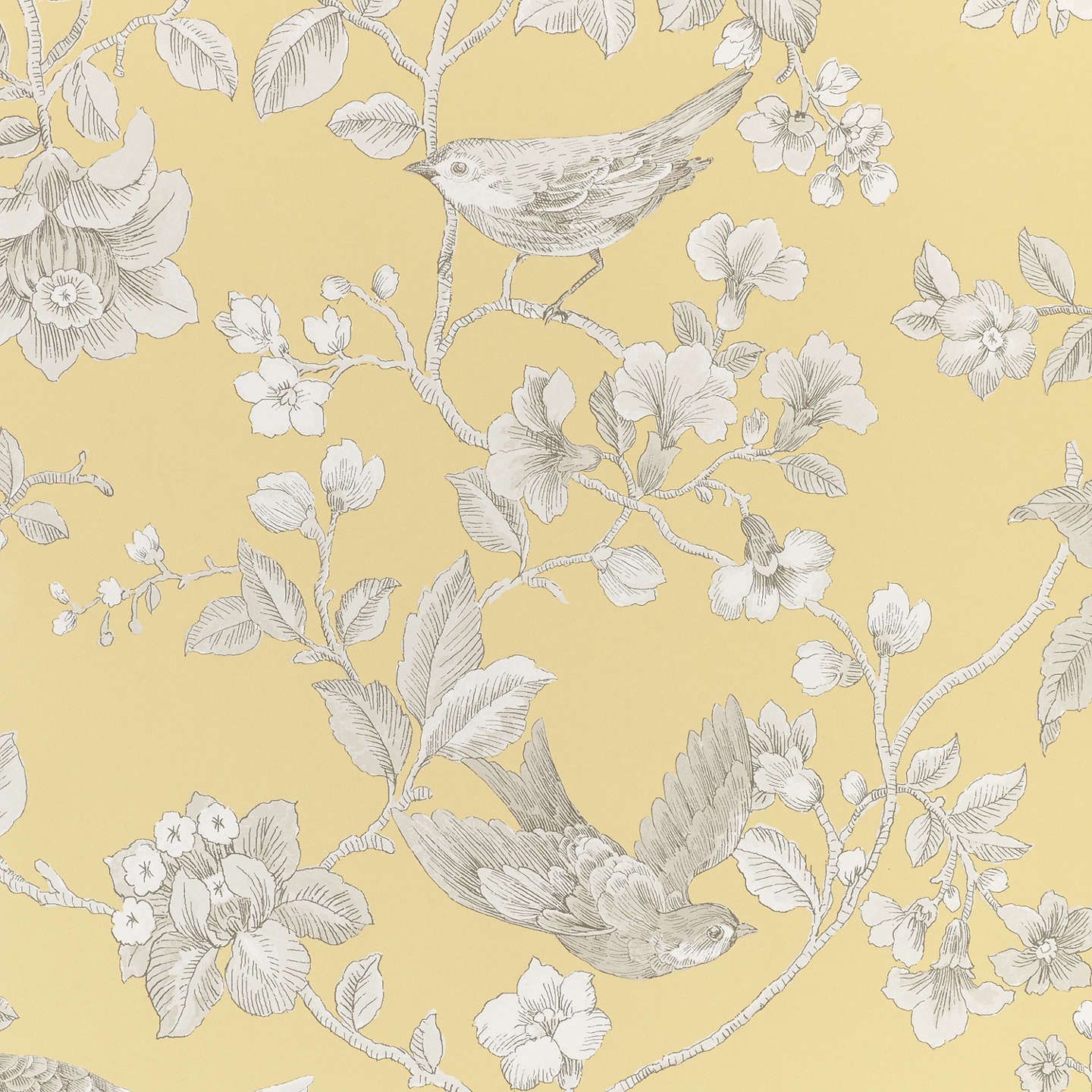 Wallpaper - HD Wallpaper 