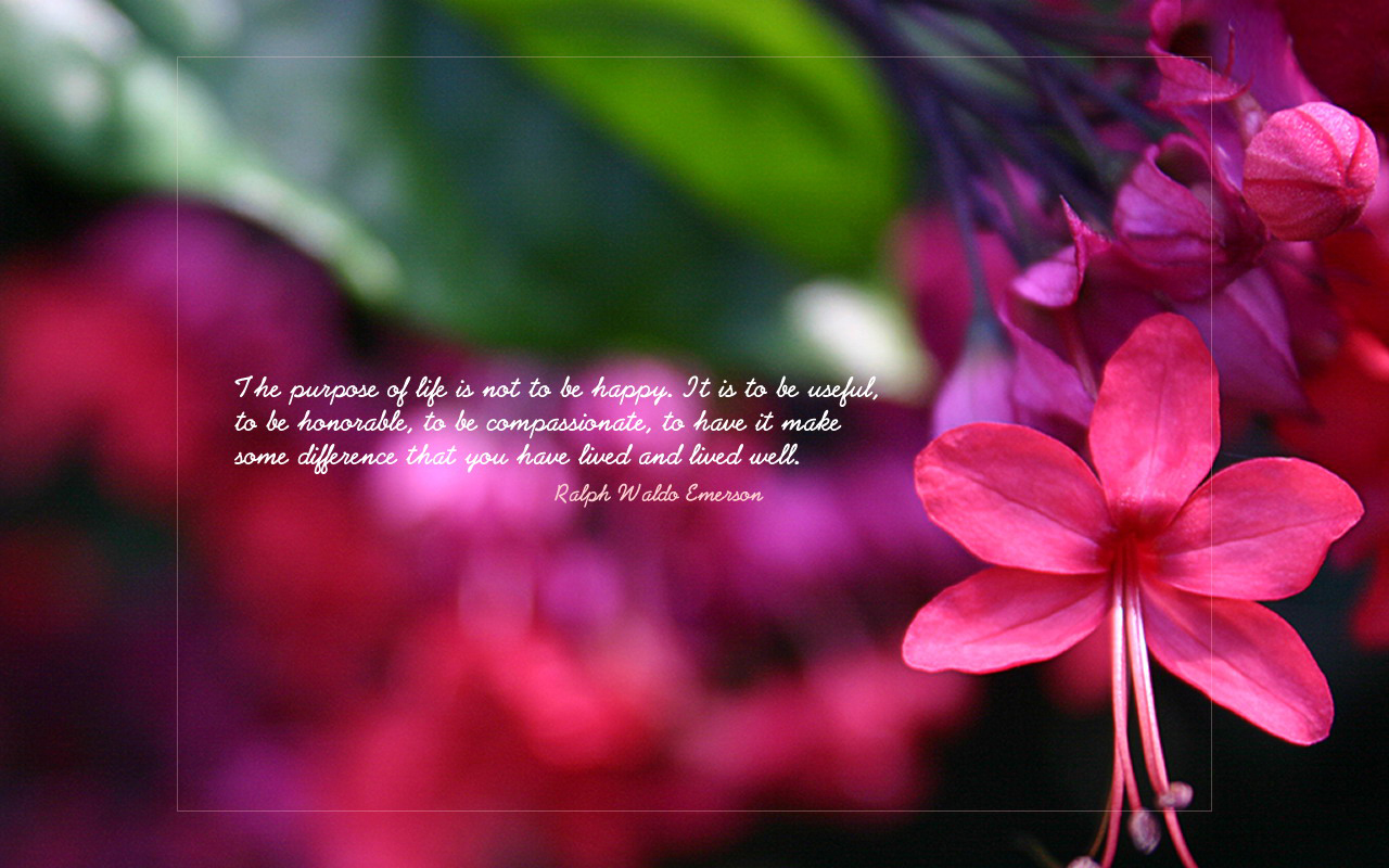 Cute I Love You For Mobile Wallpapers Free Is Cool - Purpose Of Life Cover - 1280x800 Wallpaper Cute I Love You For Mobile Wallpapers Free Is Cool - Purpose Of Life Cover - 1280x800 Wallpaper