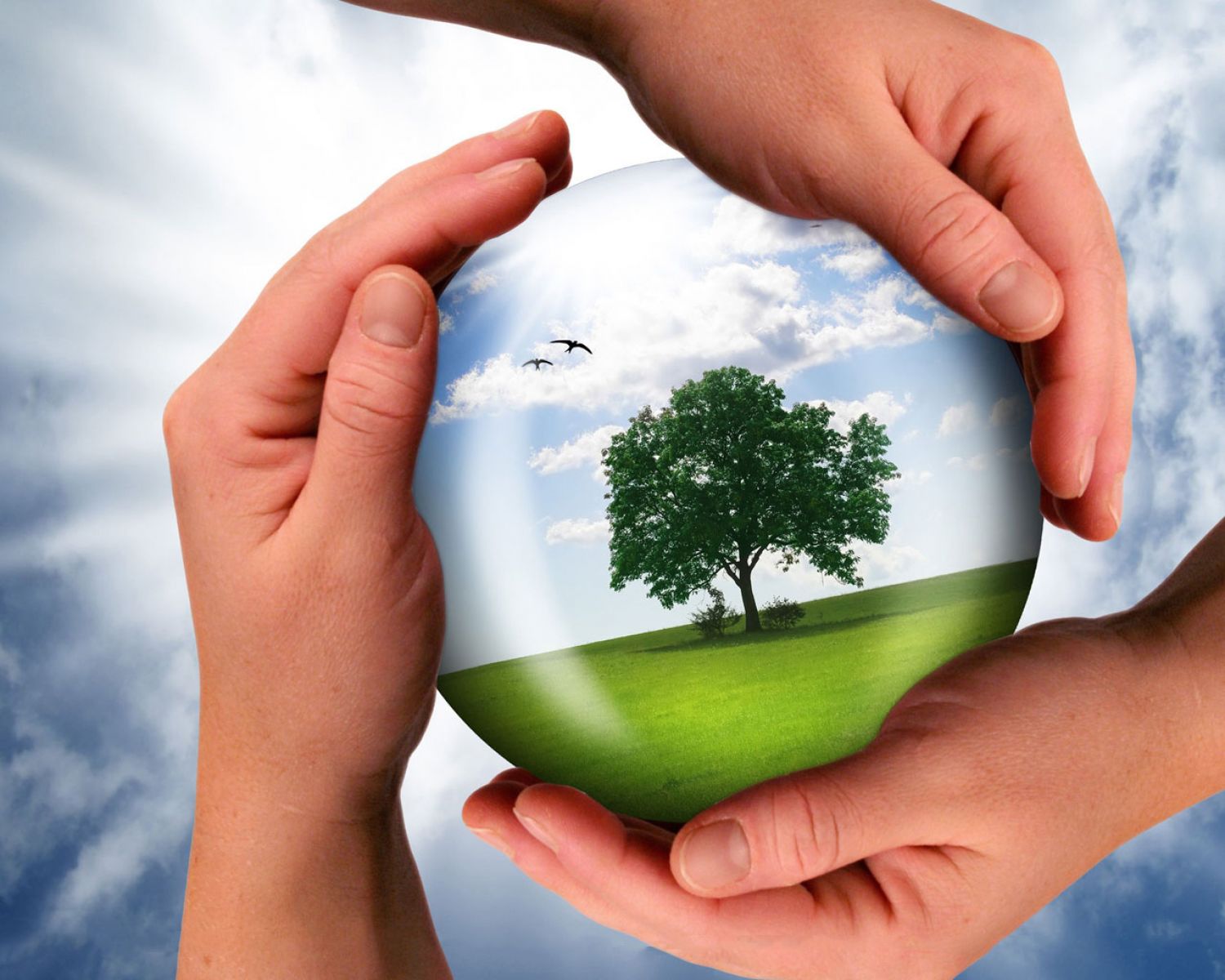 Abstract 4 Wallpaper - Nature In Hand - HD Wallpaper 