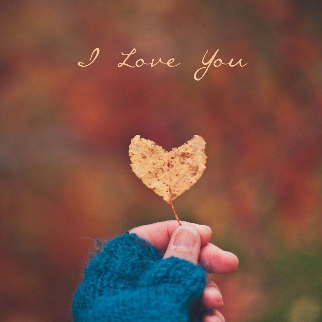 I Love You Mobile Wallpapers And Whatsapp Dp Love, - Love Profile Dp Pic Whatsapp - HD Wallpaper 