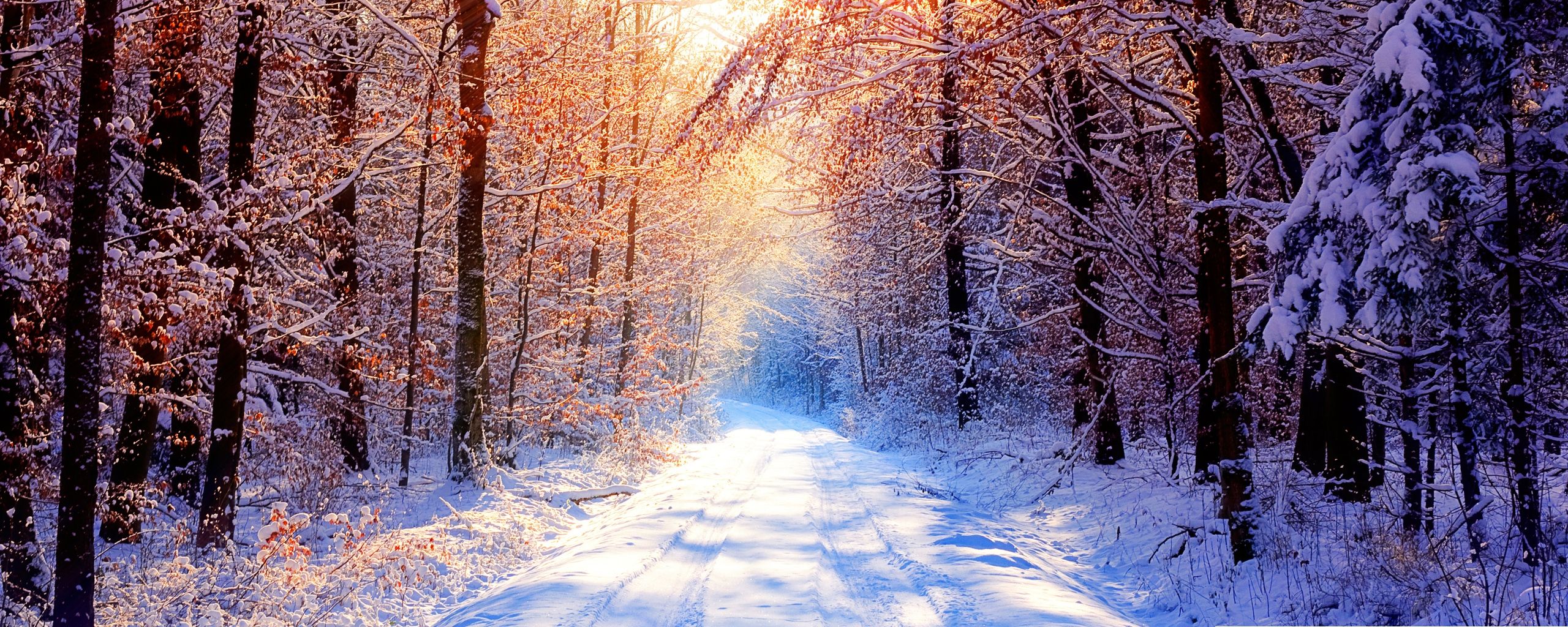 Winter Cover Photos For Facebook Timeline - 2560x1024 Wallpaper 