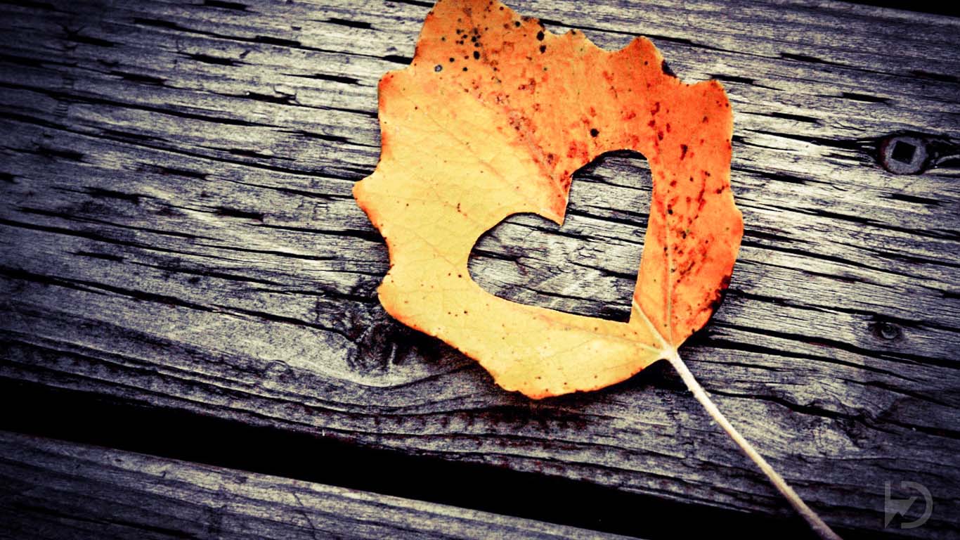 Top 100 Hd Love Wallpapers - High Definition Love Wallpaper Hd - 1366x768 Wallpaper Top 100 Hd Love Wallpapers - High Definition Love Wallpaper Hd - 1366x768 Wallpaper
