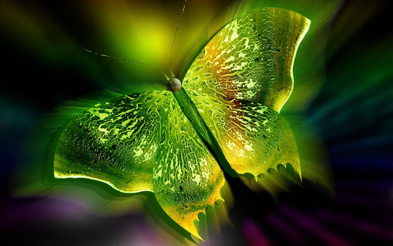 5d Wallpapers Hd - 1280x800 Wallpaper - teahub.io