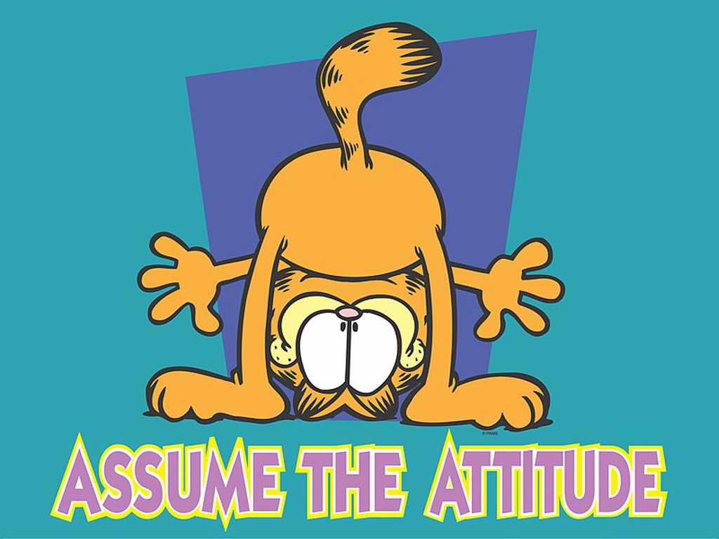 Assume The Attitude - Garfield Wallpaper Phone - HD Wallpaper 
