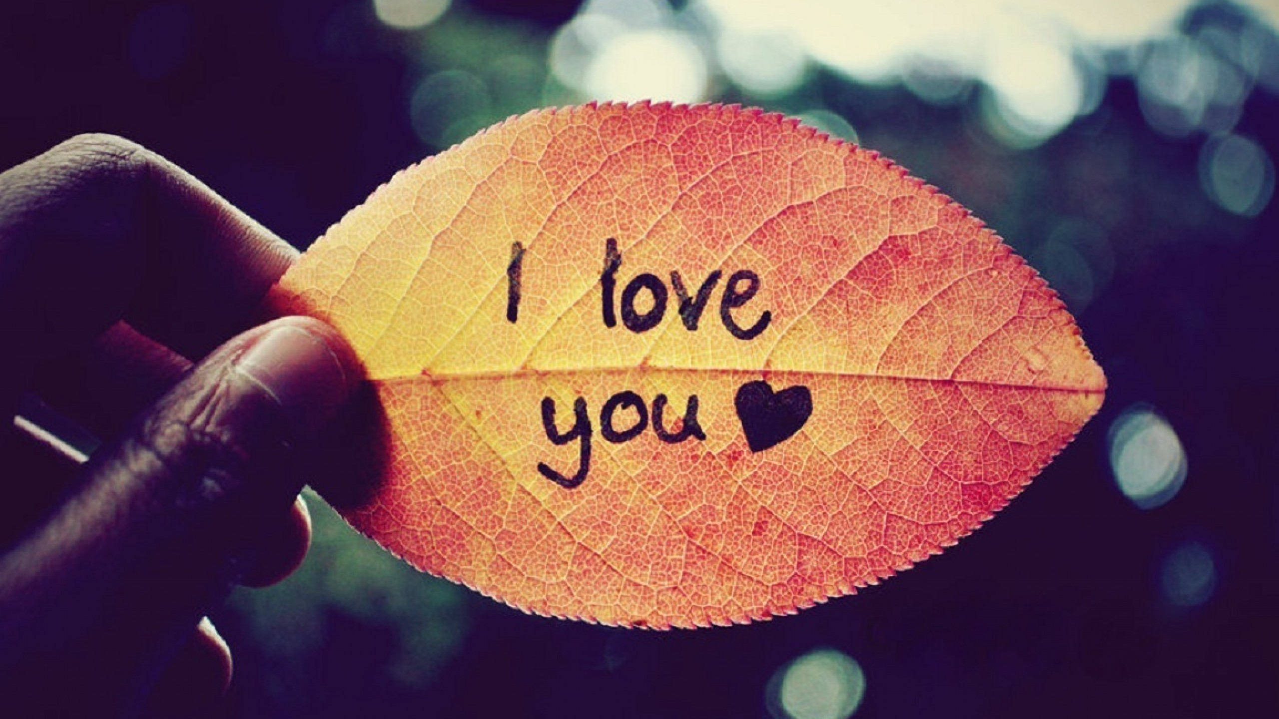 I Love You Background Hd Wallpapers - Love U Status In Hindi - 2560x1440 Wallpaper I Love You Background Hd Wallpapers - Love U Status In Hindi - 2560x1440 Wallpaper