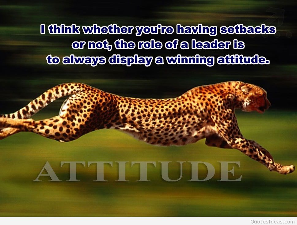 Awesome Wallpaper Attitude Quote With Desktop Background - Amazing Picture Of Animals - HD Wallpaper 