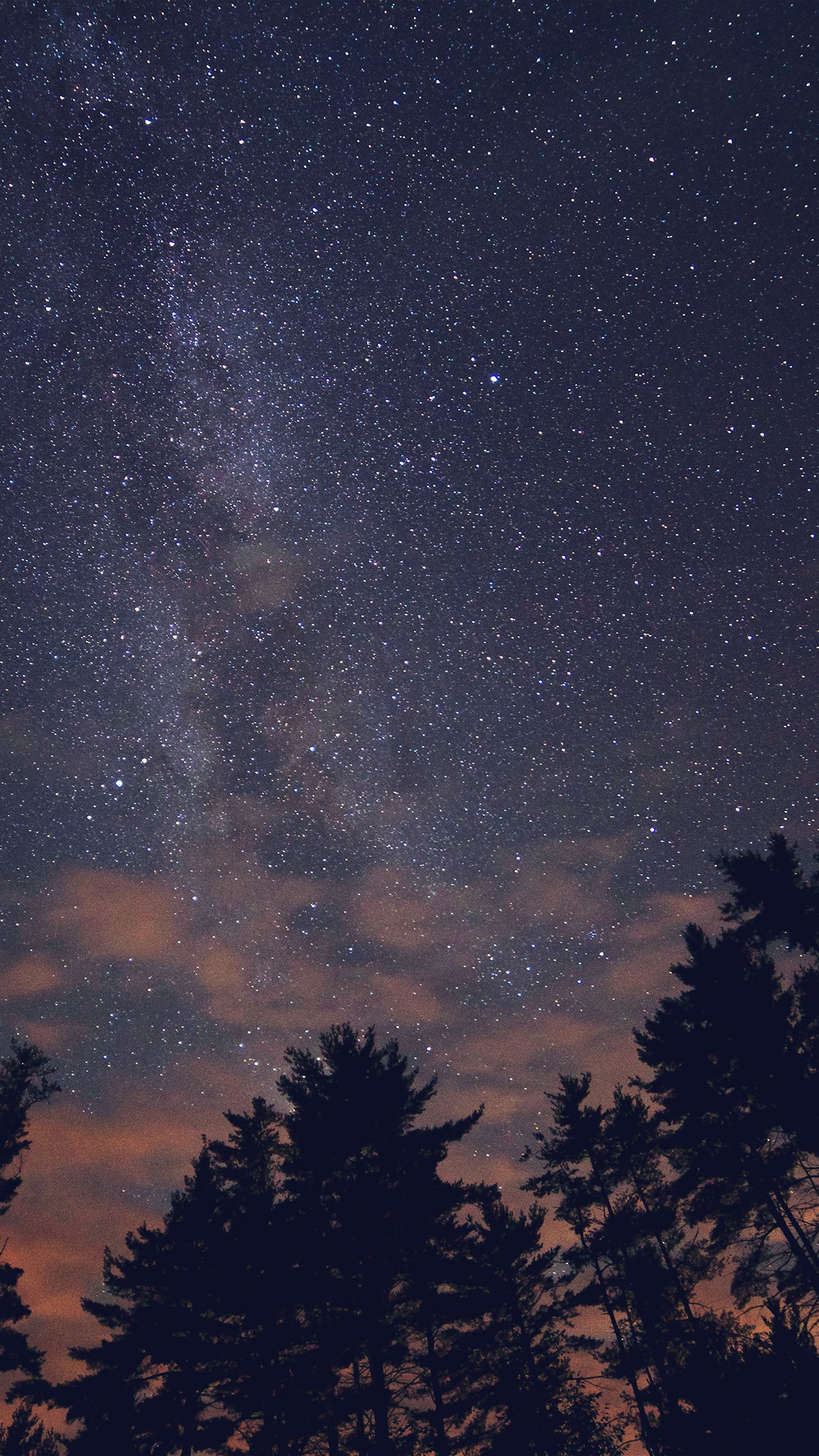 Night Sky Stars Milkyway Wood Nature Blue Android Wallpaper - Stars Are Little Holes In The Floor - HD Wallpaper 