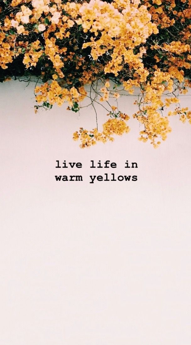 Live Life In Warm Yellows - HD Wallpaper 