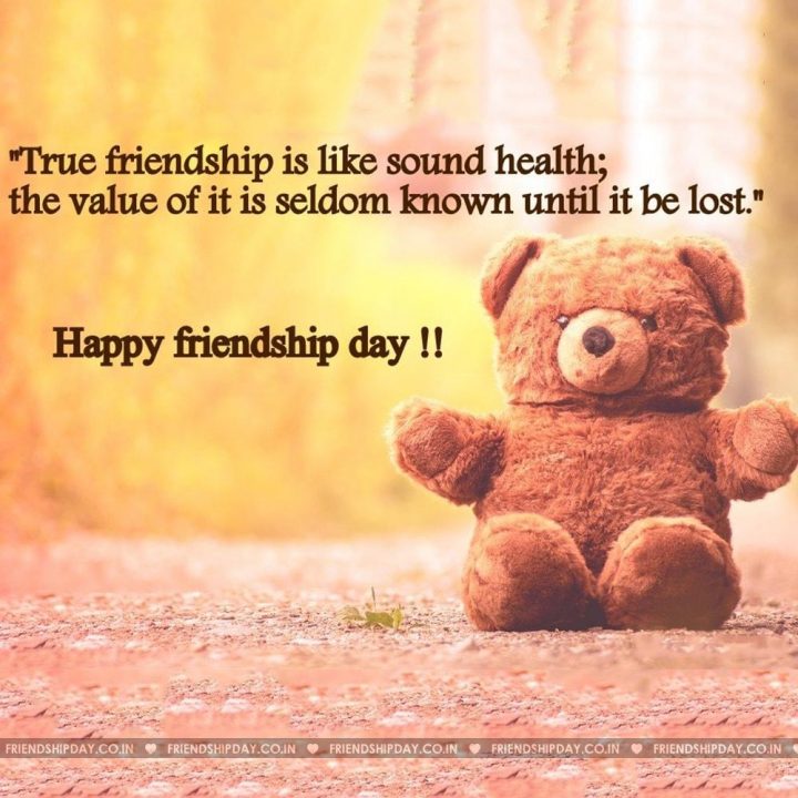 happy friendship day teddy bear