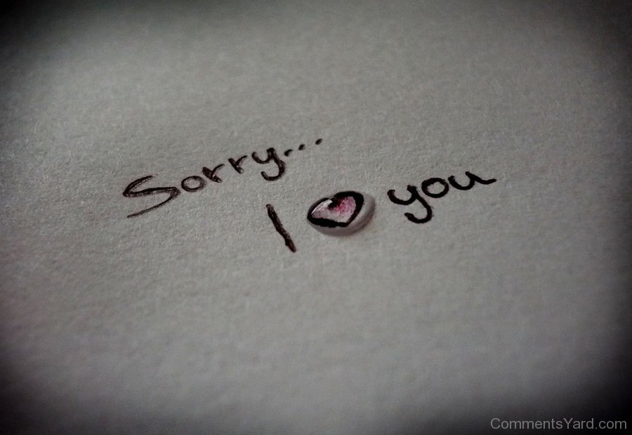 Love, Sorry, And I Love You Image - Sorry L Love You - 900x619 Wallpaper -  