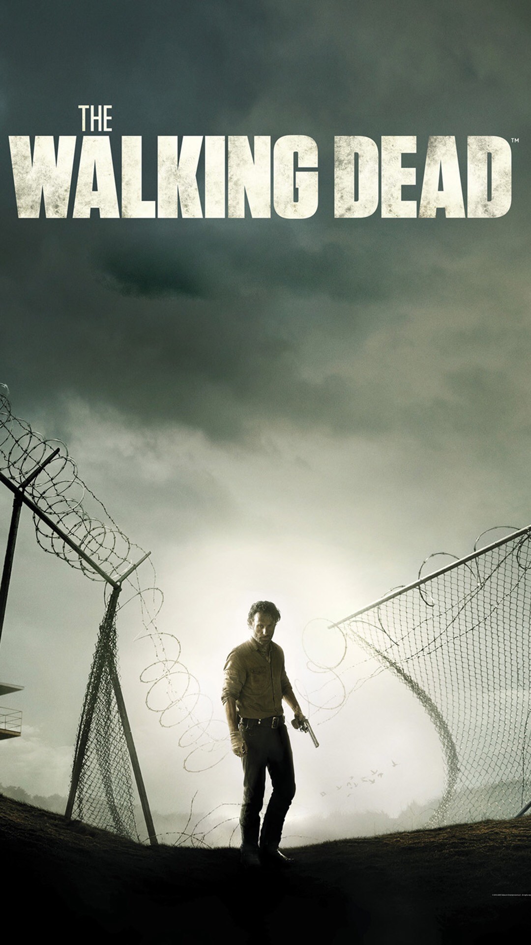 The Walking Dead Iphone Wallpaper - Walking Dead Background Phone - HD Wallpaper 