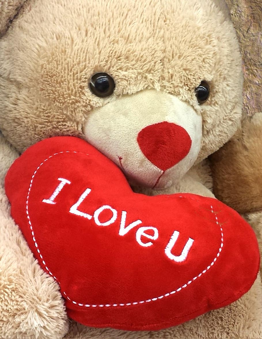 Brown Bear Holding I Love U Pillow, I Love You, Heart, - Teddy Good Morning  Love - 910x1177 Wallpaper 