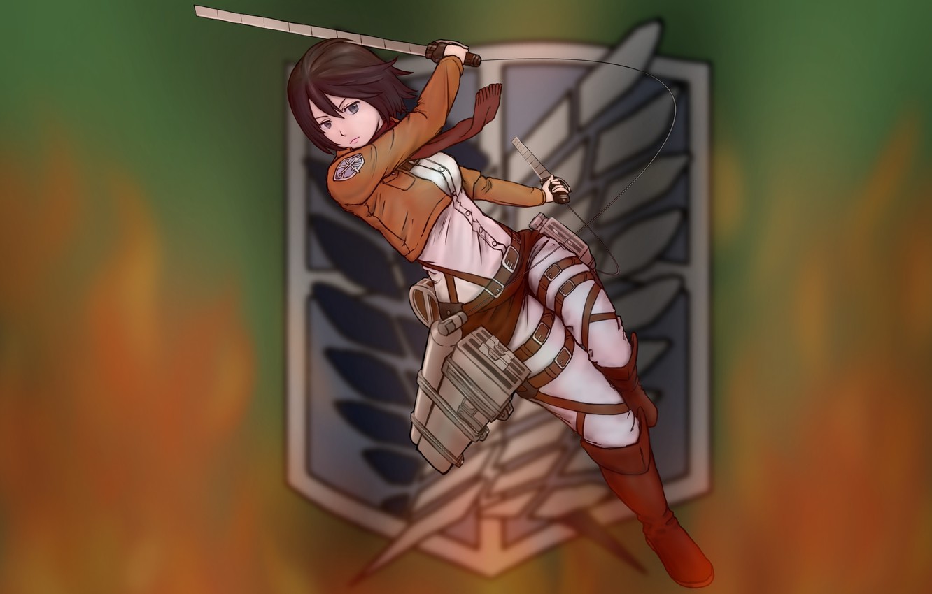 Photo Wallpaper Look, Girl, Weapons, Attitude, Gesture, - Shingeki No Kyojin Mikasa Banner - HD Wallpaper 