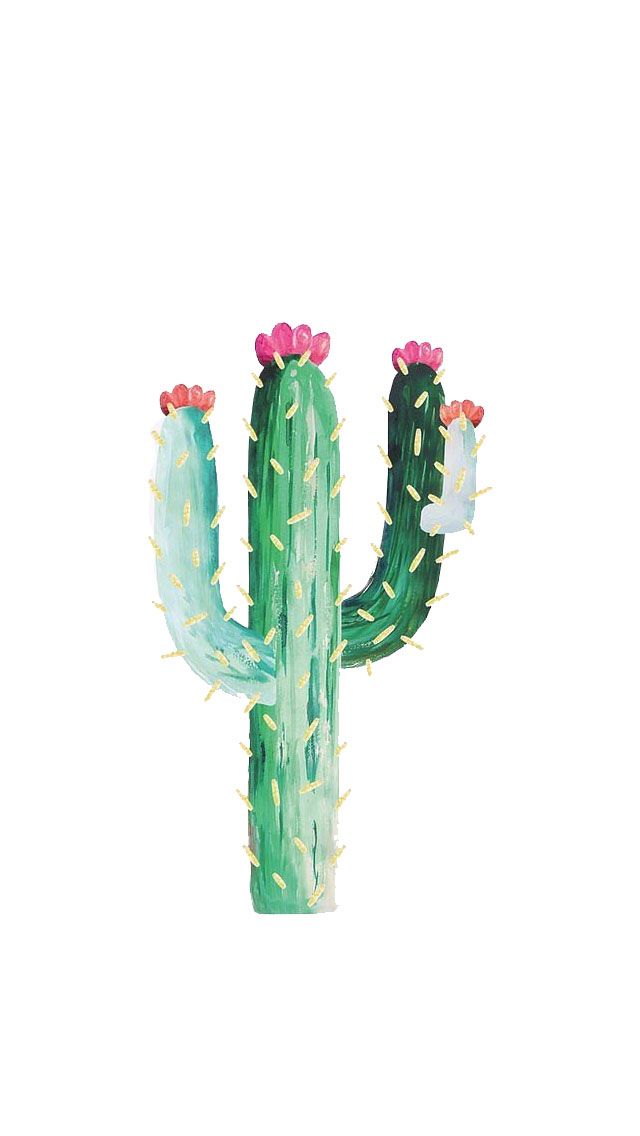 Aesthetic Cactus Phone Background - HD Wallpaper 