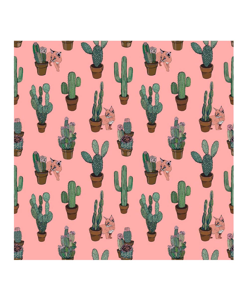 Cat Cactus - HD Wallpaper 