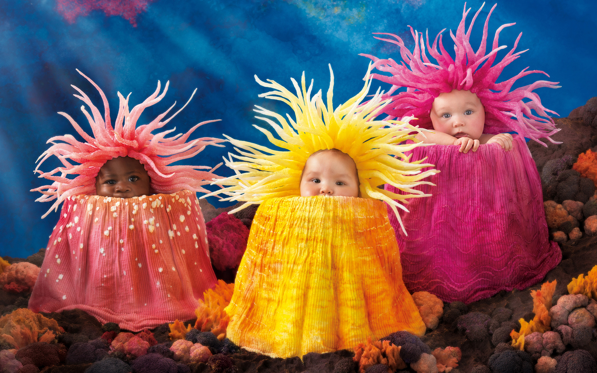 Cute Babies Wallpapers Hd Wallpapers - Anne Geddes Under The Sea - HD Wallpaper 