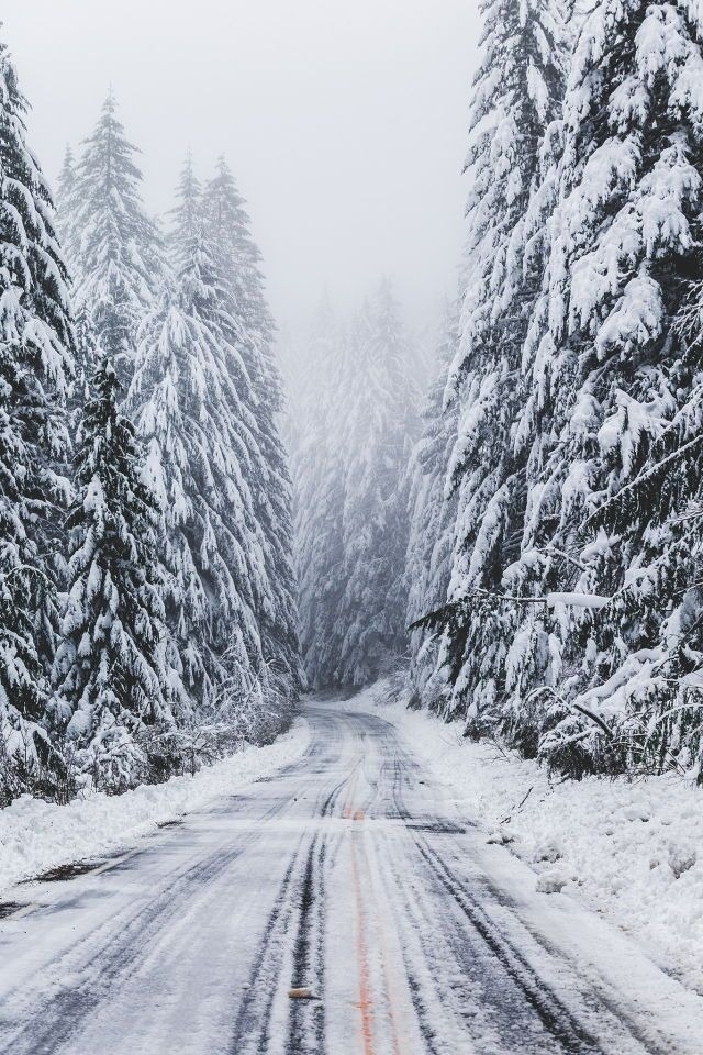 24 Best Winter Wonderland Images On Pinterest - Winter Road - HD Wallpaper 