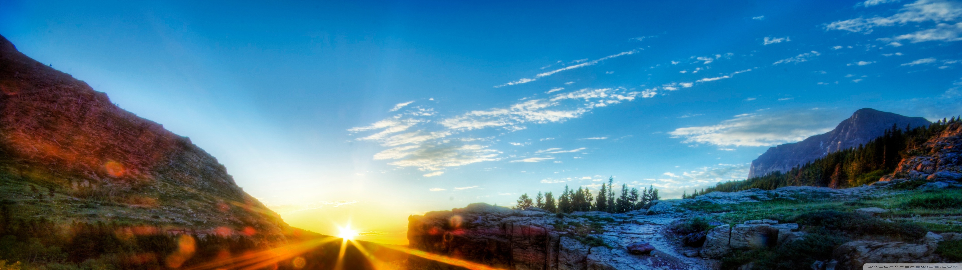 Wallpaper - HD Wallpaper 